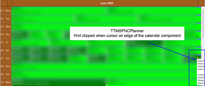 TMSPlannerHintProblem
