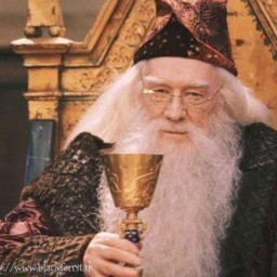 Albus Dumbledore
